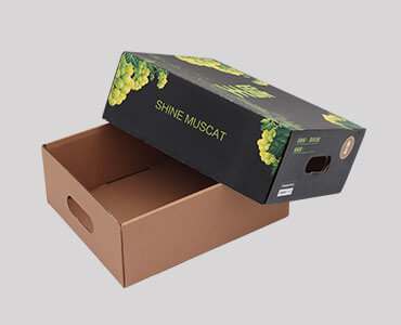 Fruit & Vegetable Packaging Carton Box