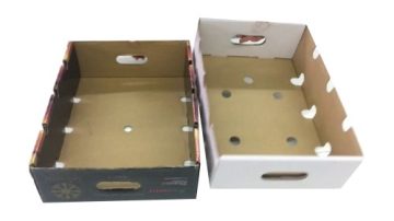 Top 10 Best Corrugated Boxes Manufacturers in Nicaragua
