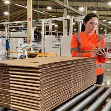 Top 10 Best Cardboard Moving Boxes Manufacturers in Honduras