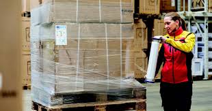 Top 10 Best Corrugated Boxes Manufacturers in Maldives