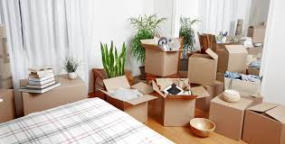 Top 10 Best Corrugated Boxes Manufacturers in Sri Lanka