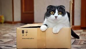 Top 10 Best Cardboard Moving Boxes Manufacturers in Turkey