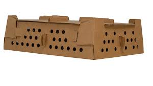 Top 10 Best Cardboard Moving Boxes Manufacturers in Jamaica