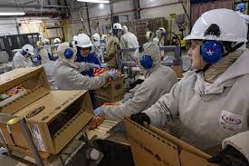 Top 10 Best Cardboard Moving Boxes Manufacturers in Chile