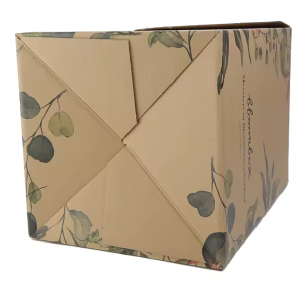 Good quality corrugated packaging plant cardboard boxes for plants